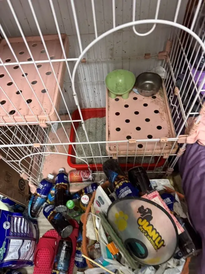 圖片來源:新竹縣政府