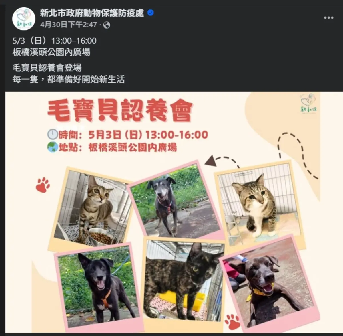 圖片來源：新北市政府