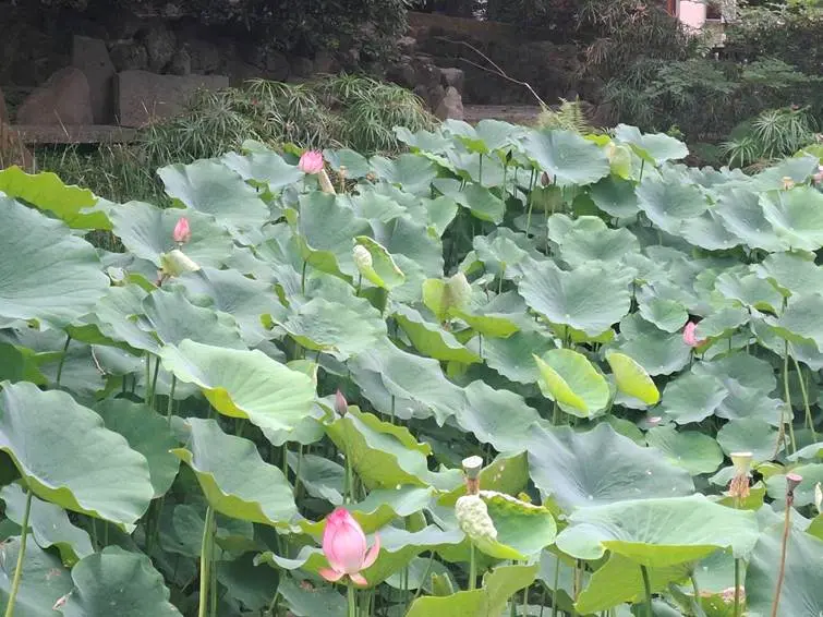 圖片來源:臺北市政府