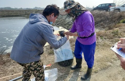 圖片來源:臺南市政府