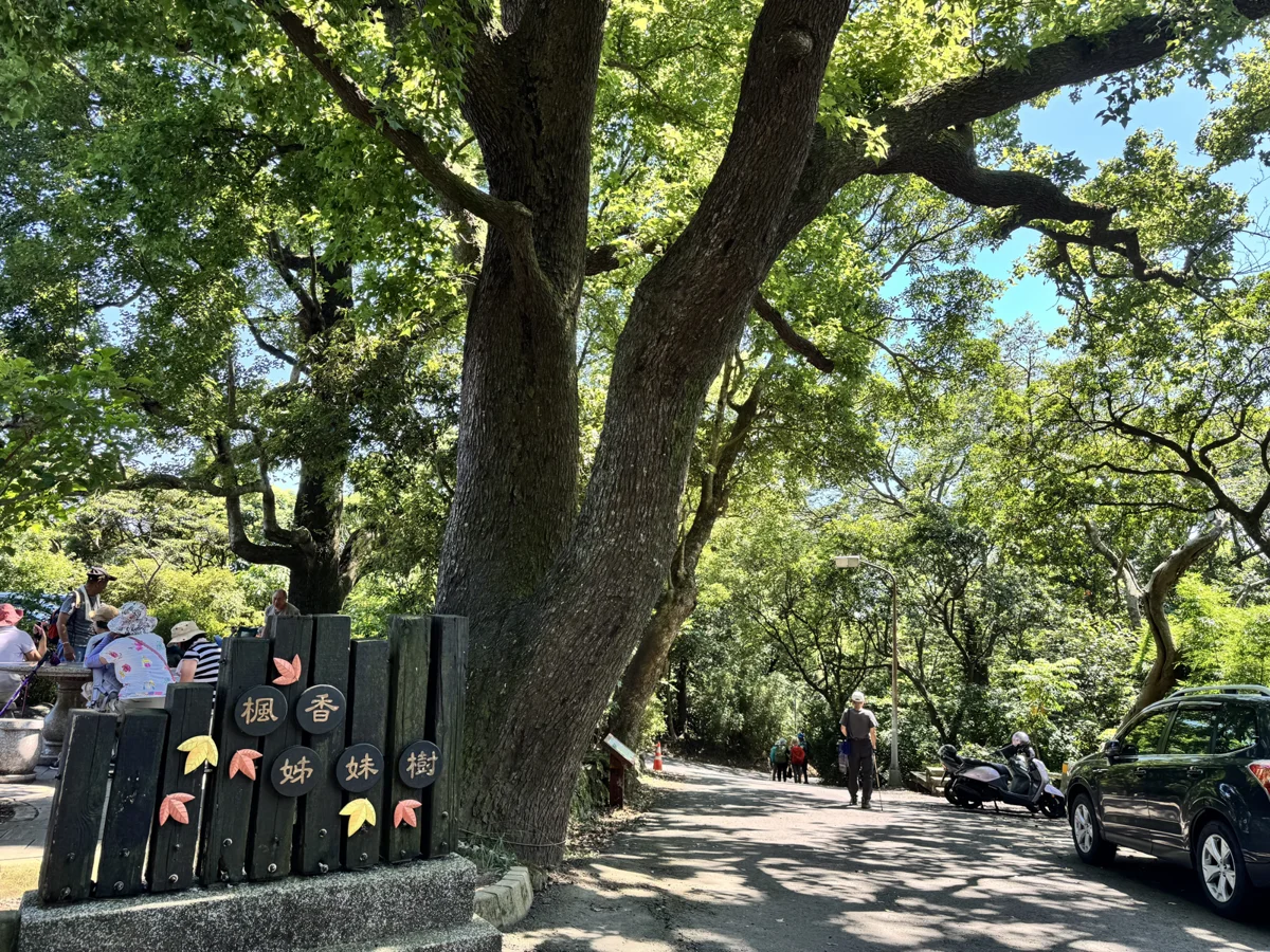 圖片來源：臺北市政府