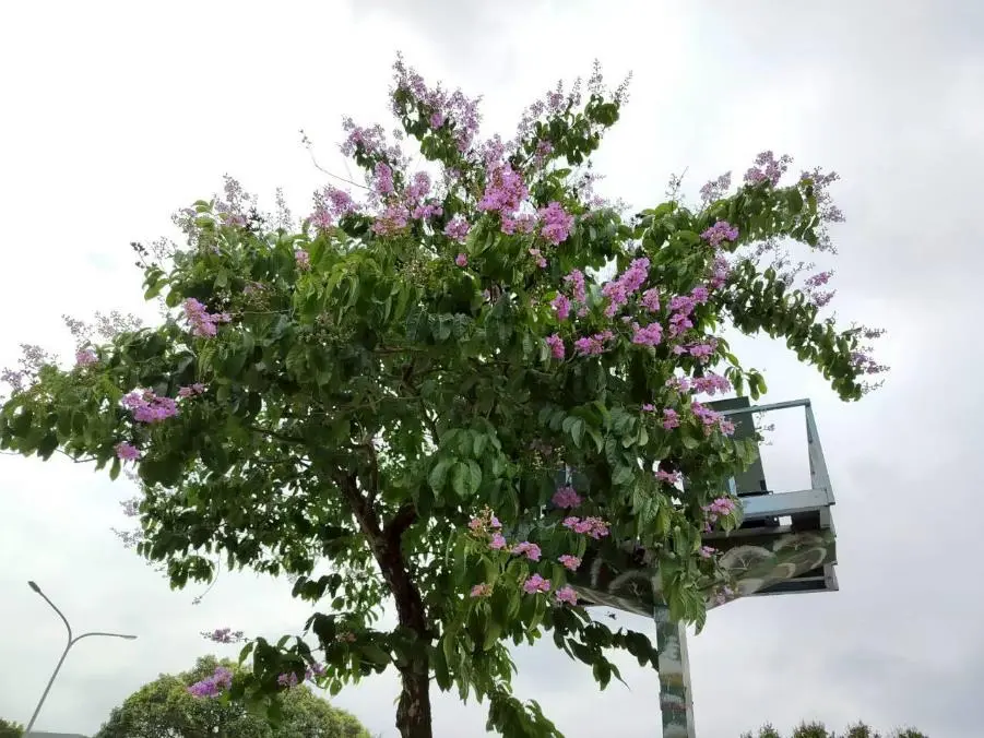 圖片來源:臺北市政府