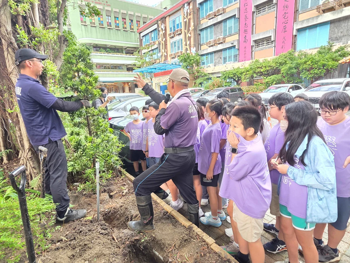 把綠意種進校園!市大附小「造林小園丁」種下8棵羅漢松實踐淨零教育