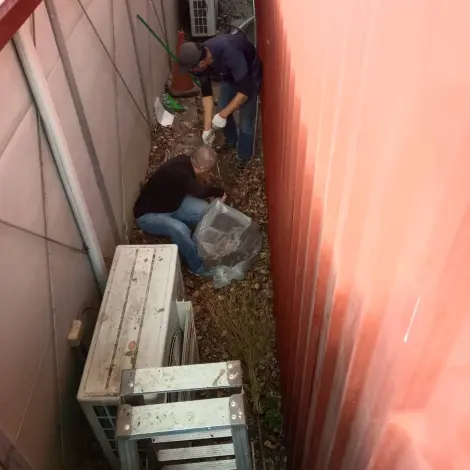 赤嵌樓驚見鼠蹤!南市文化局啟動古蹟「滅鼠大作戰」,3大原則杜絕鼠患