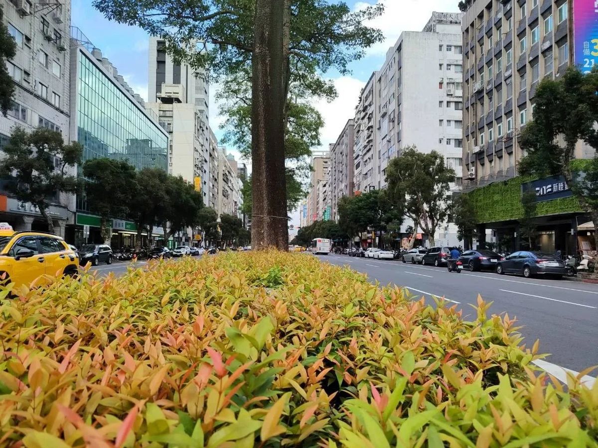 圖片來源:臺北市政府