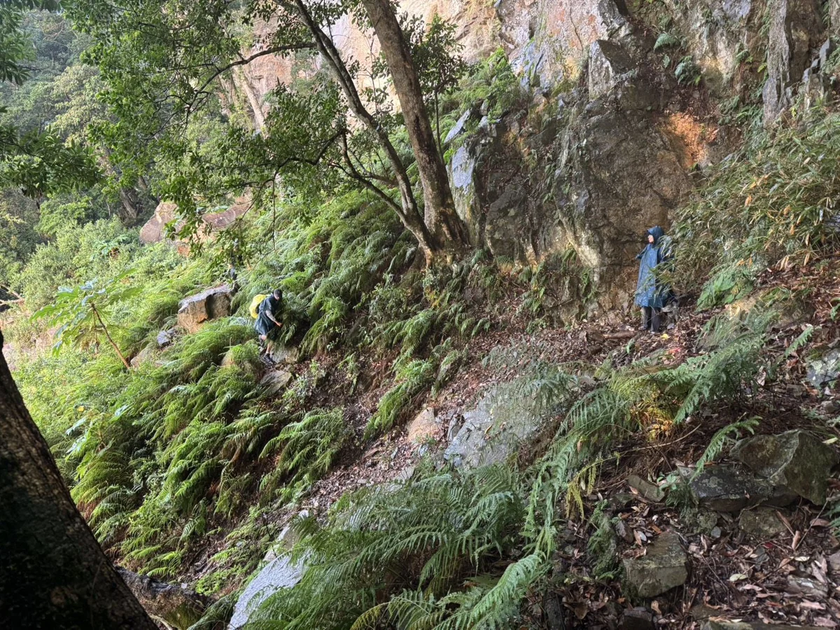 【苗栗救援】泰安虎加縱走2登山客迷途 手機定位神救援平安下山