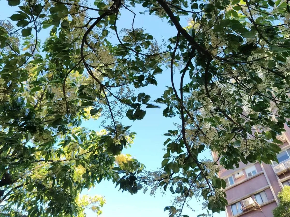 圖片來源:臺北市政府