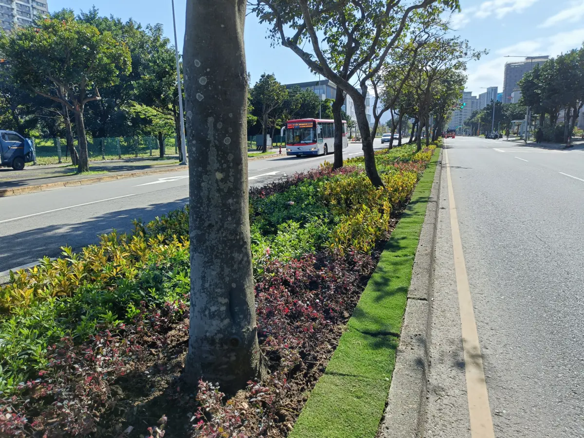圖片來源：新北市政府
