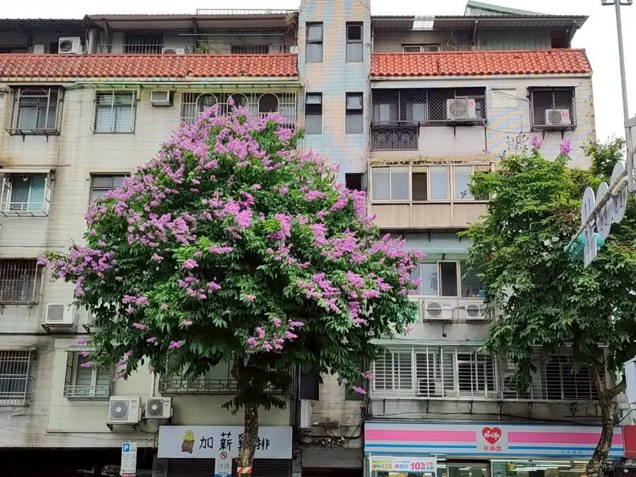 圖片來源:臺北市政府