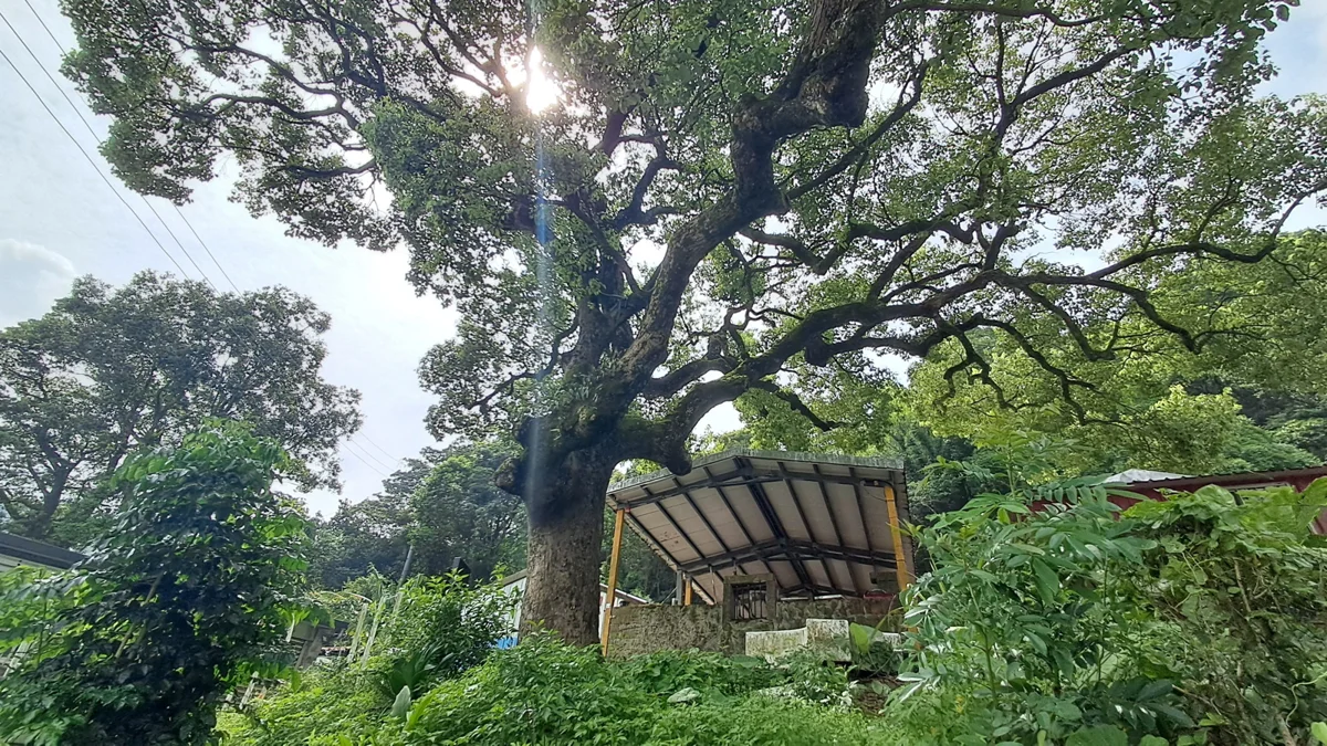 圖片來源:臺北市政府