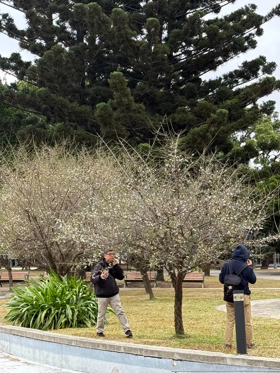 圖片來源:臺北市政府