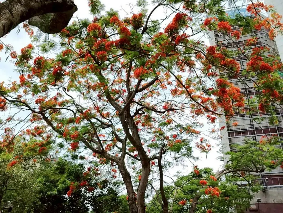 圖片來源:臺北市政府