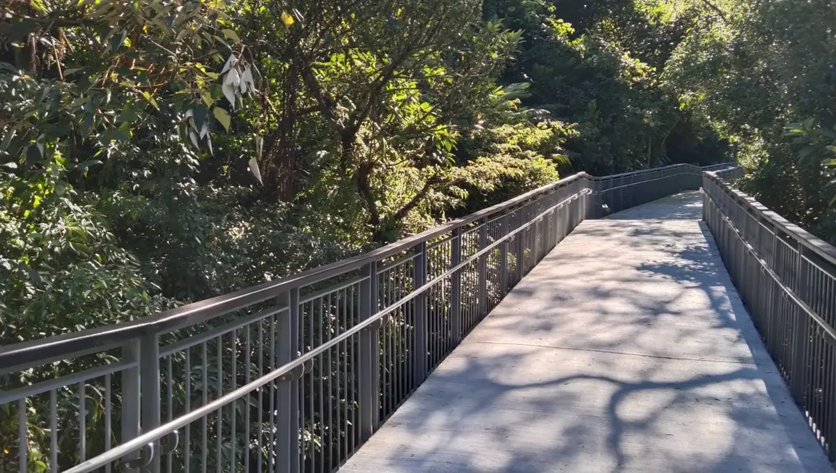 圖片來源:新北市政府
