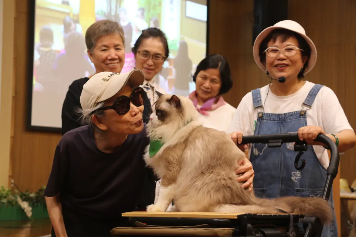 圖片來源:新北市政府