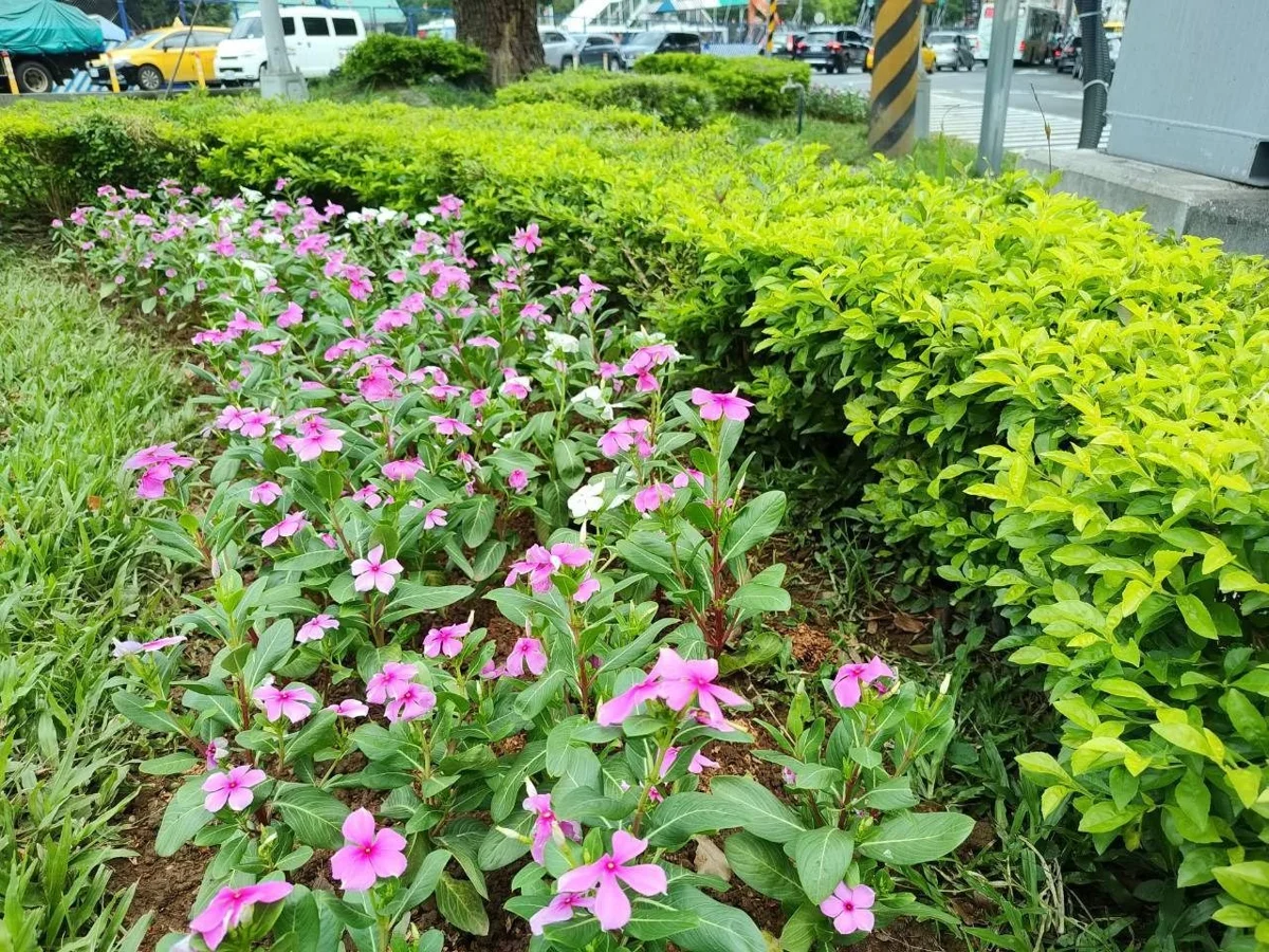 圖片來源:臺北市政府