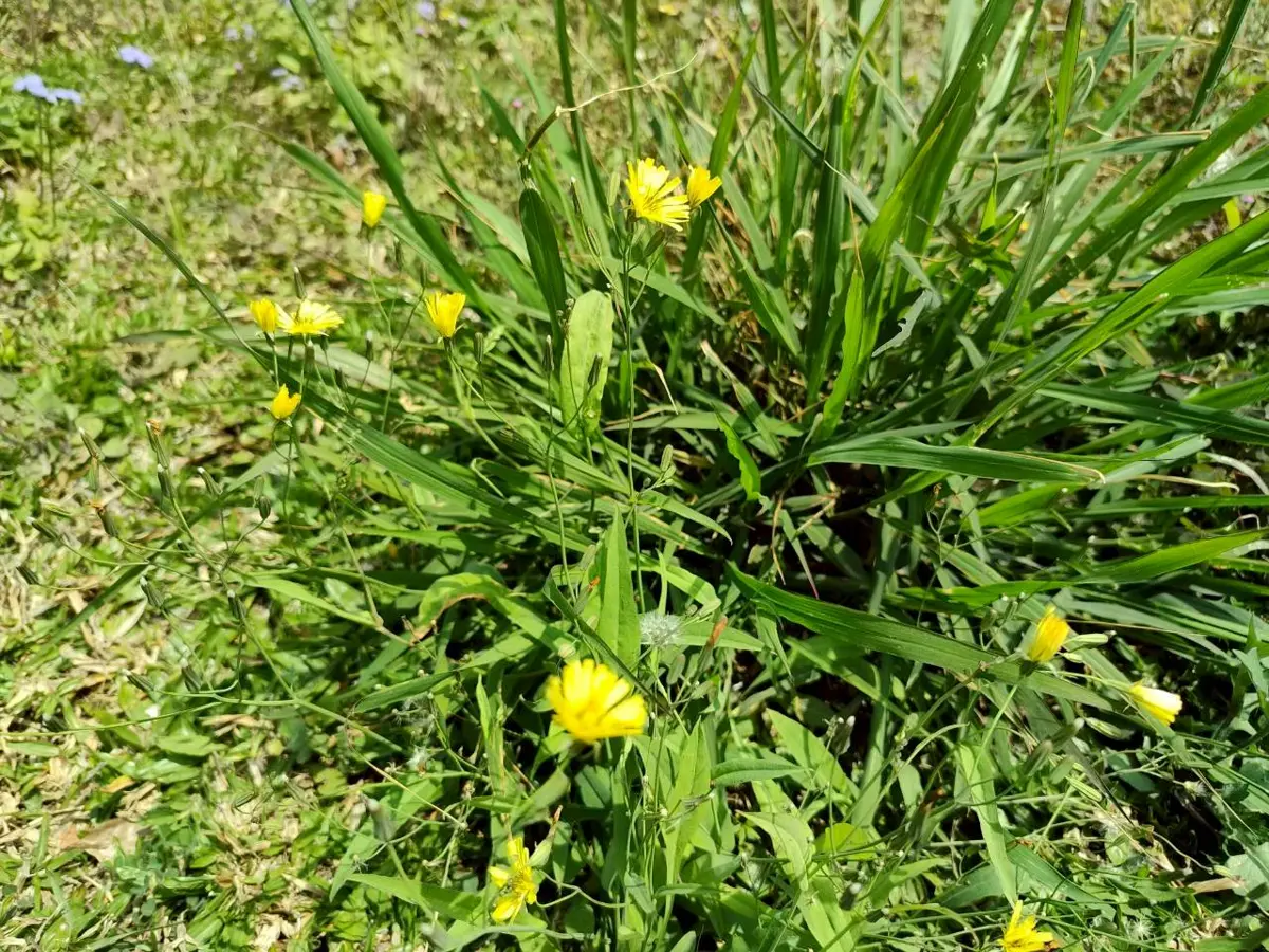 圖片來源:臺北市政府
