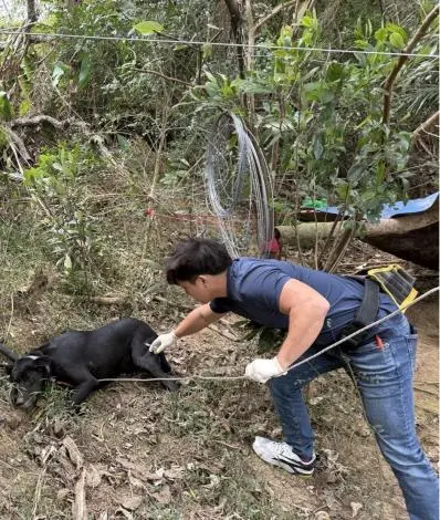 圖片來源:苗栗縣政府