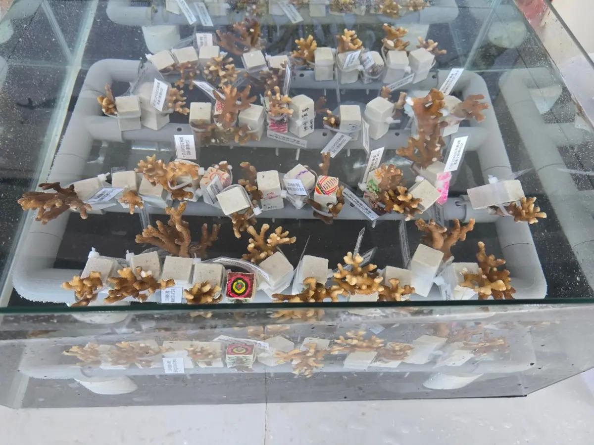圖片來源:新北市政府