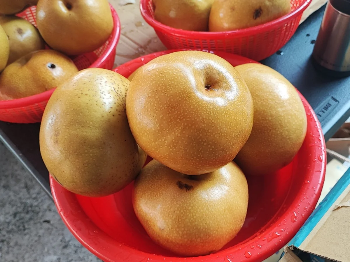 圖片來源:臺中市政府