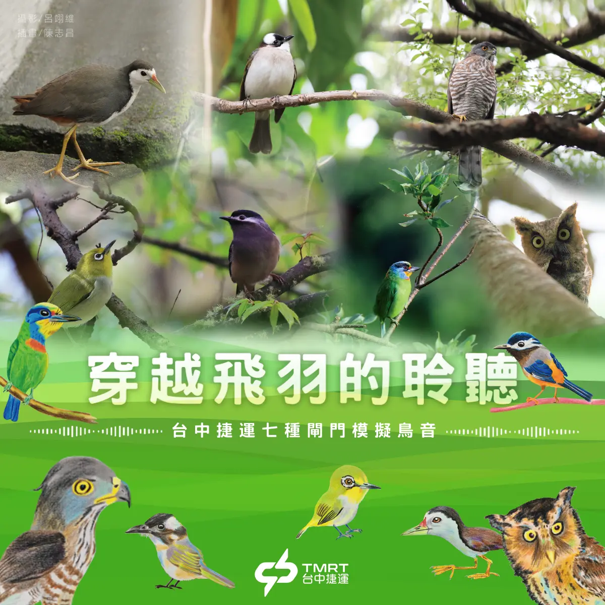 世界首創!台中捷運「鳥叫聲」閘門將登世界舞台,7種在地鳥鳴驚艷國際