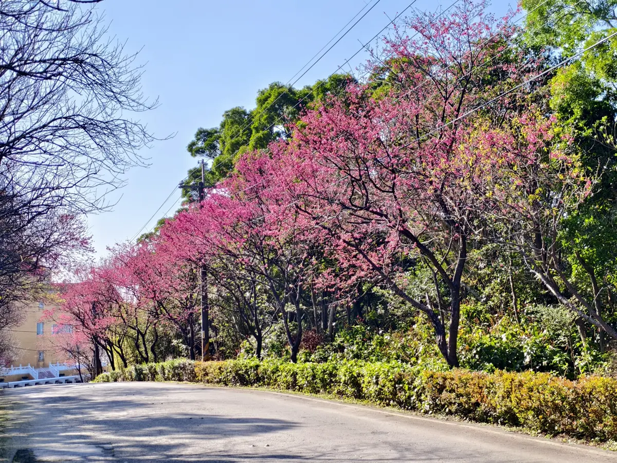 圖片來源:新北市政府