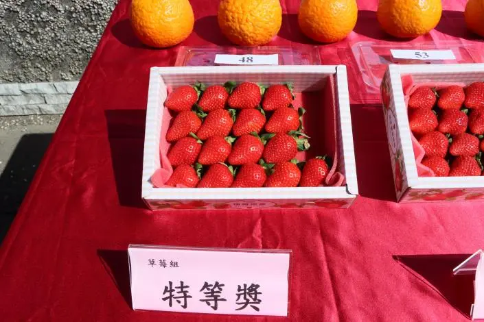 圖片來源:苗栗縣政府