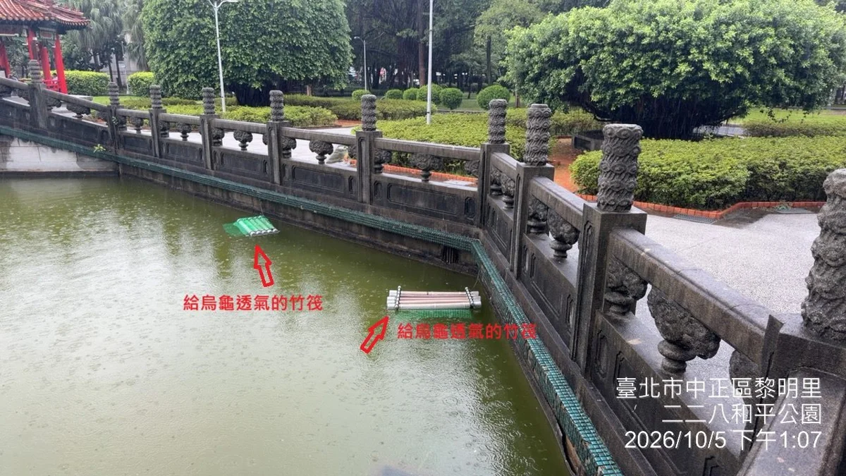 網傳228公園水池變「垃圾池」?北市公園處曬實景嚴正駁斥