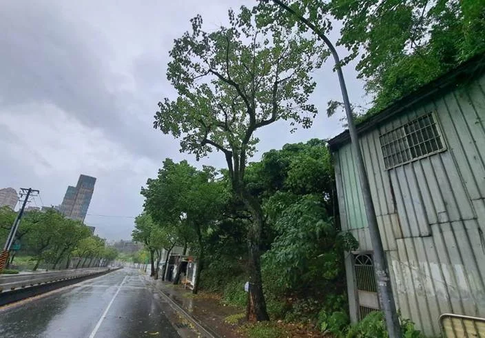 圖片來源:臺北市政府