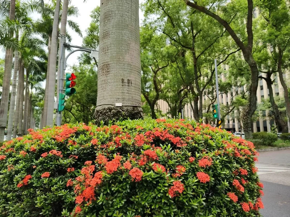 圖片來源：臺北市政府