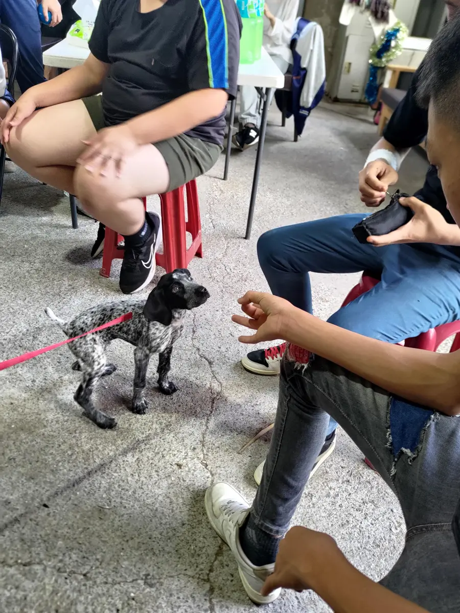 圖片來源:花蓮縣政府