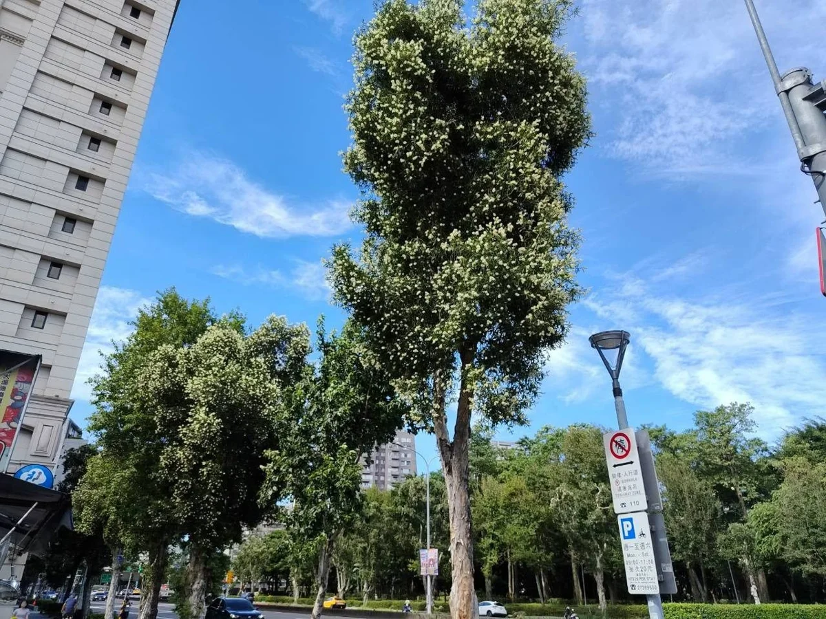 圖片來源:臺北市政府