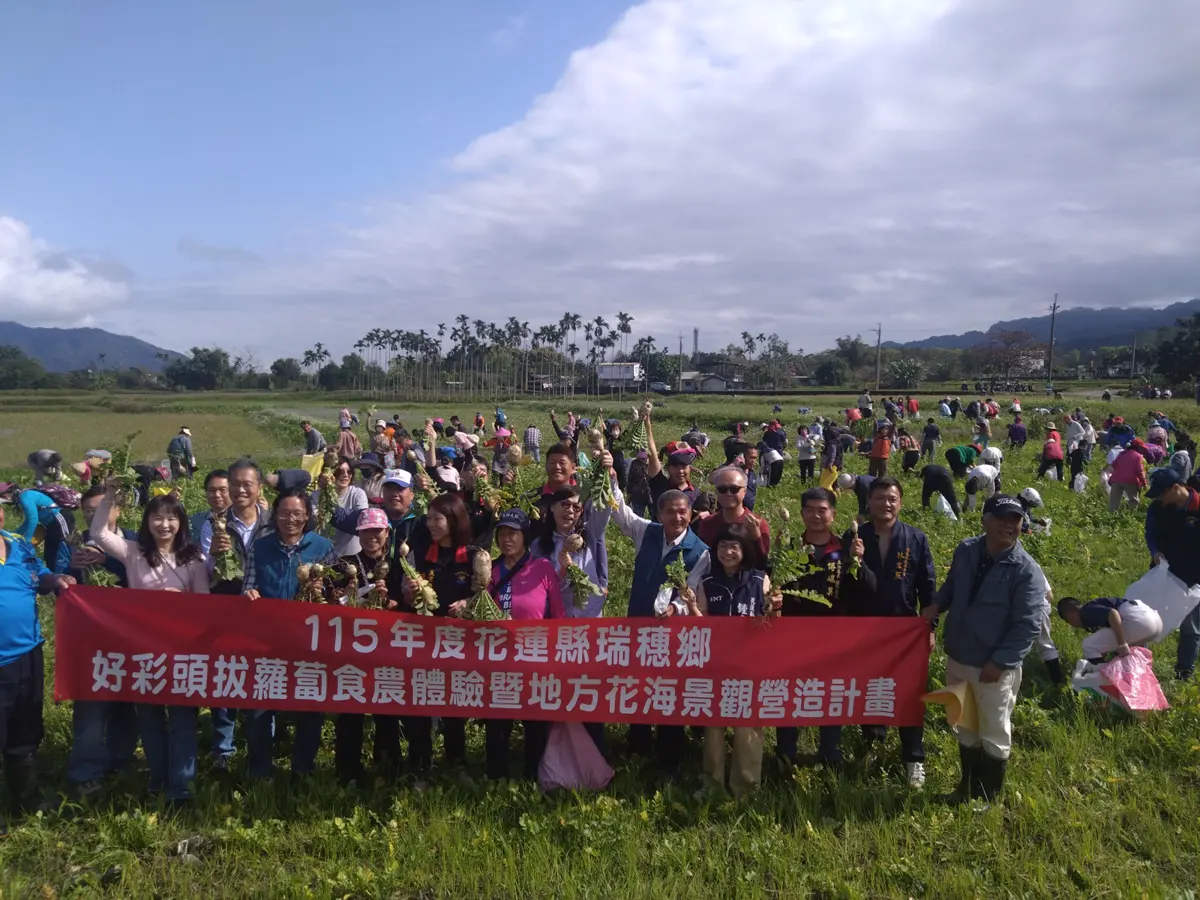 瑞穗千人拔蘿蔔！親子下田體驗感動收穫，徐榛蔚：這就是最好的食農教育