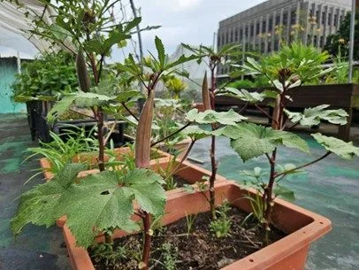 圖片來源:臺北市政府