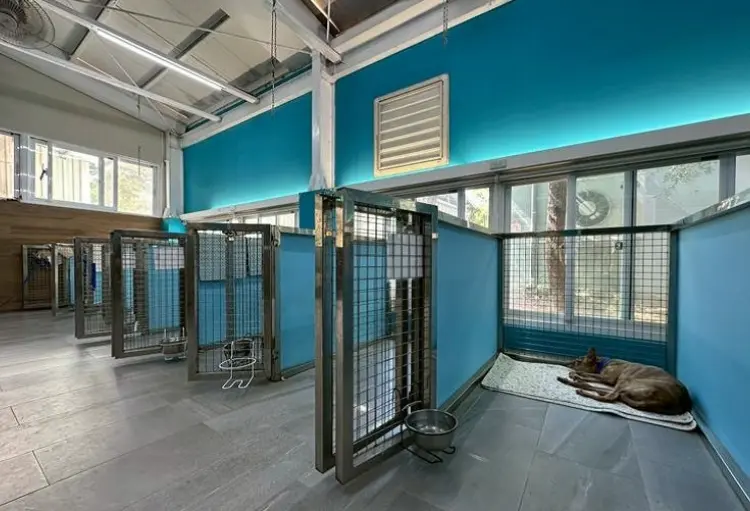 圖片來源:新北市政府