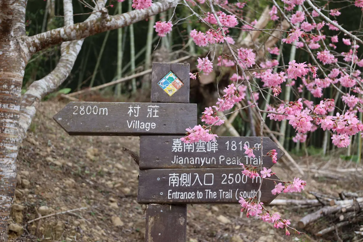 圖片來源:雲林縣政府