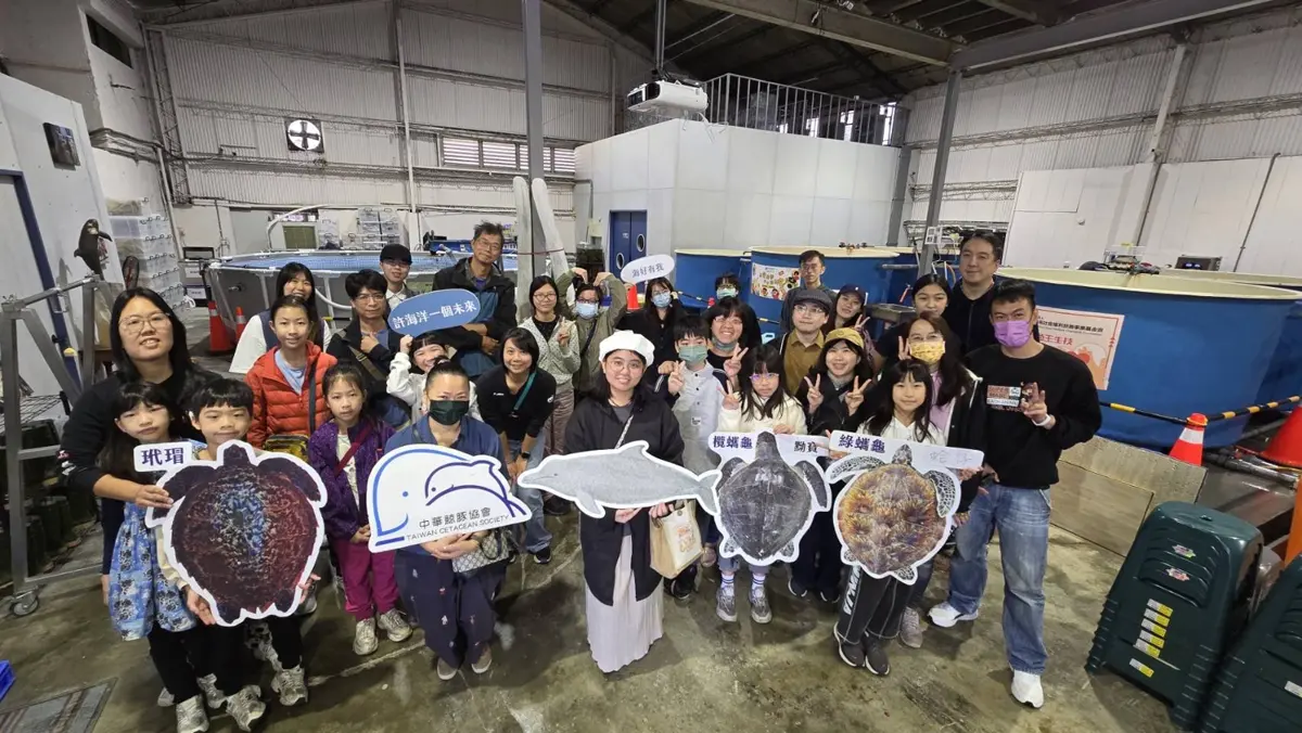 新北世界鯨魚日推海洋教育!2025年救援52隻鯨豚海龜,邀親子共同守護