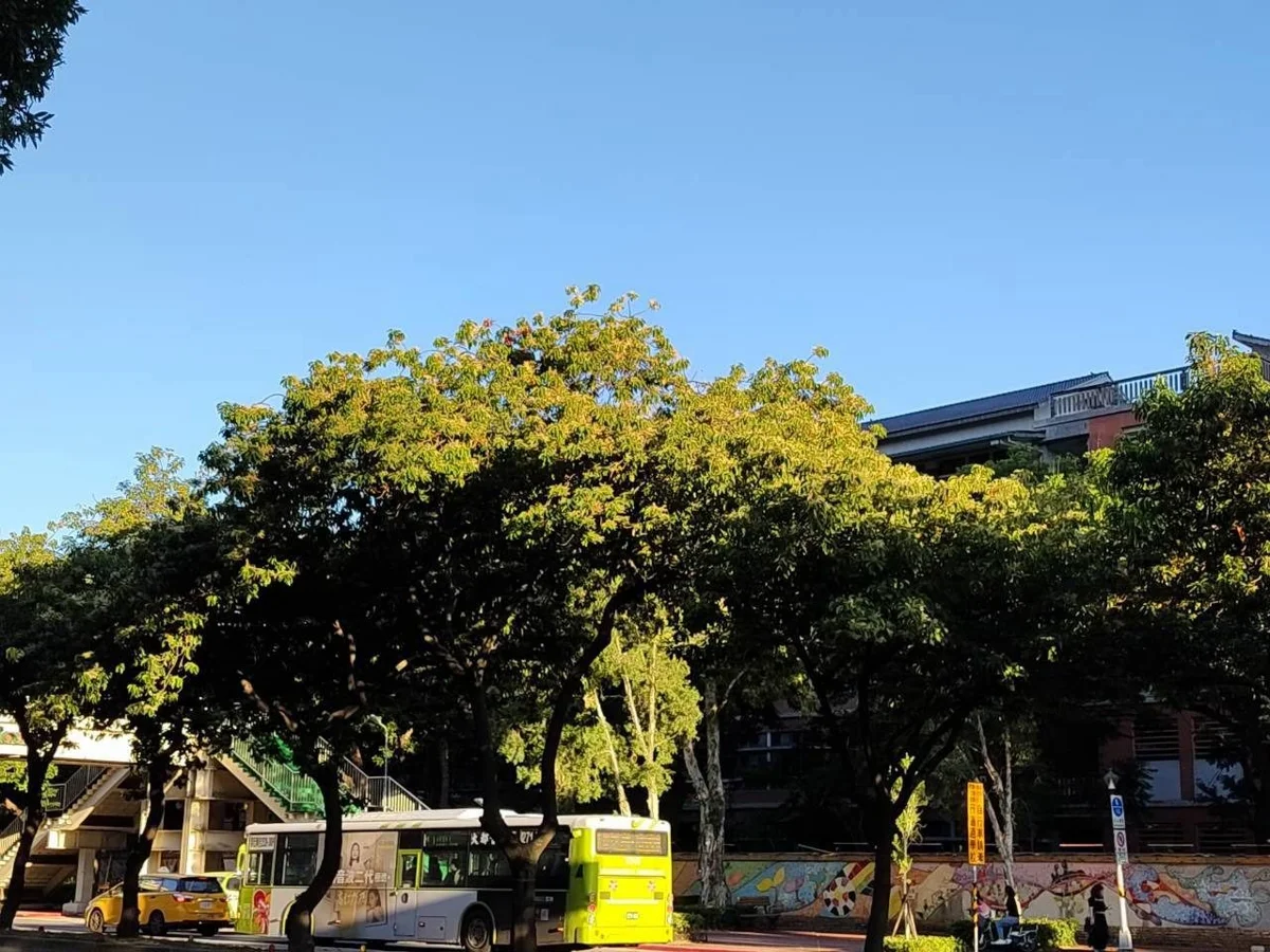 圖片來源:臺北市政府