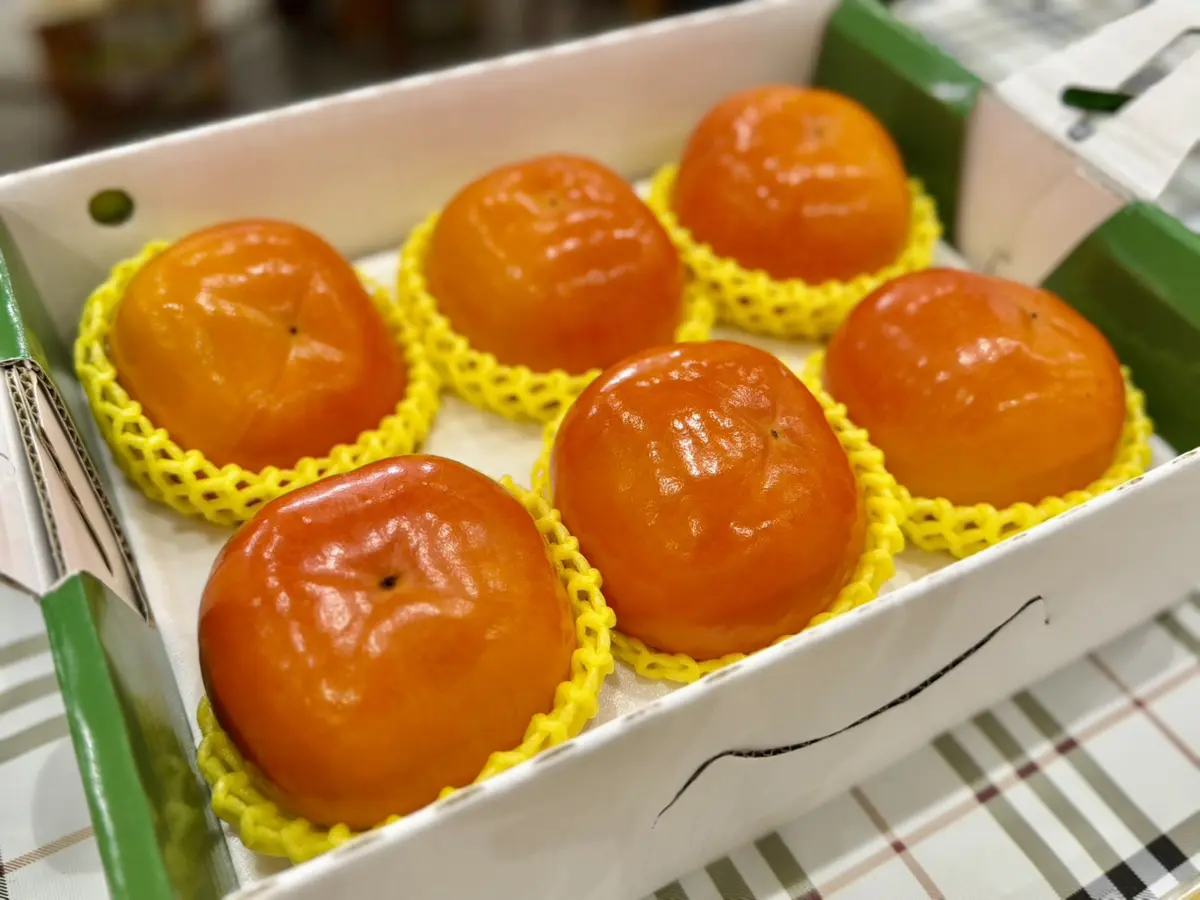 圖片來源:臺中市政府