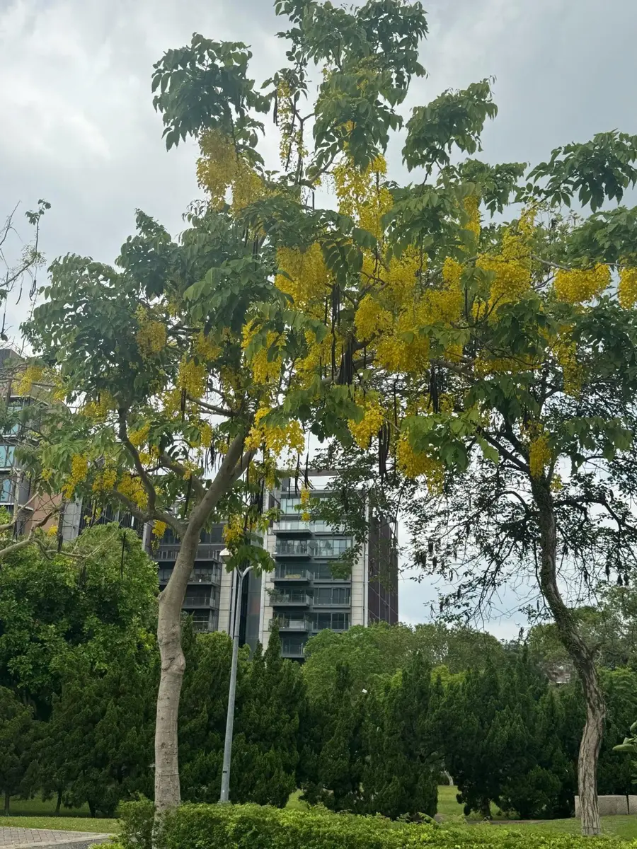 圖片來源:臺北市政府