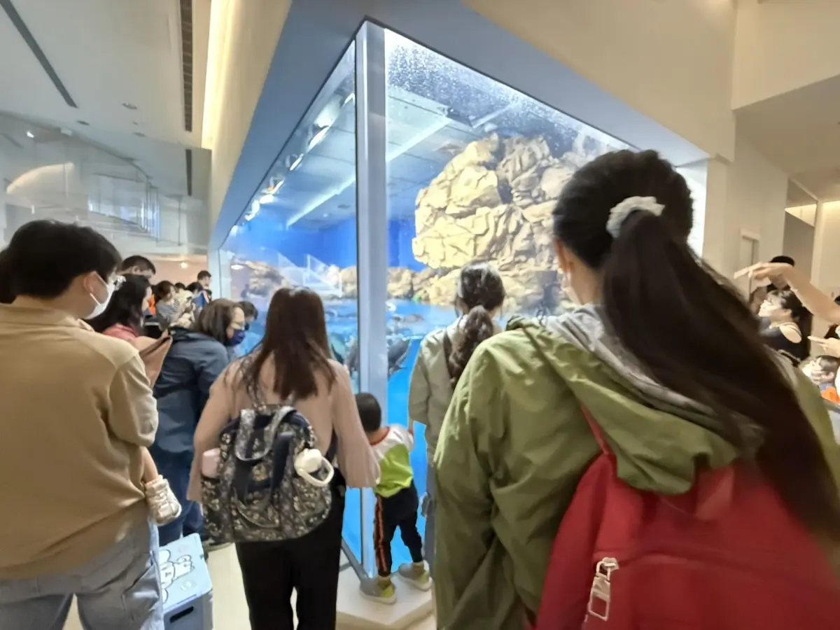 花蓮拚海洋教育升級!縣府團隊赴桃園Xpark取經,為「花蓮版水族館」鋪路?