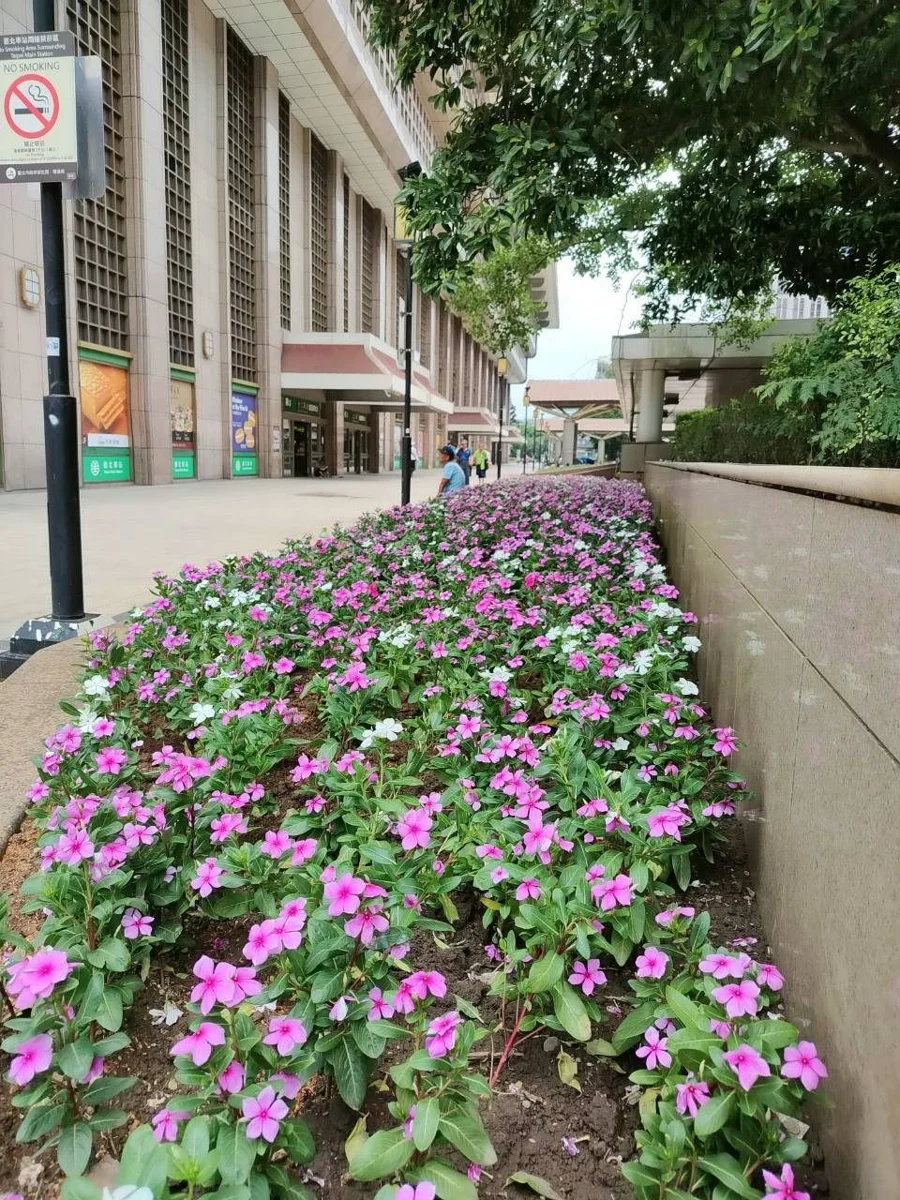 圖片來源:臺北市政府