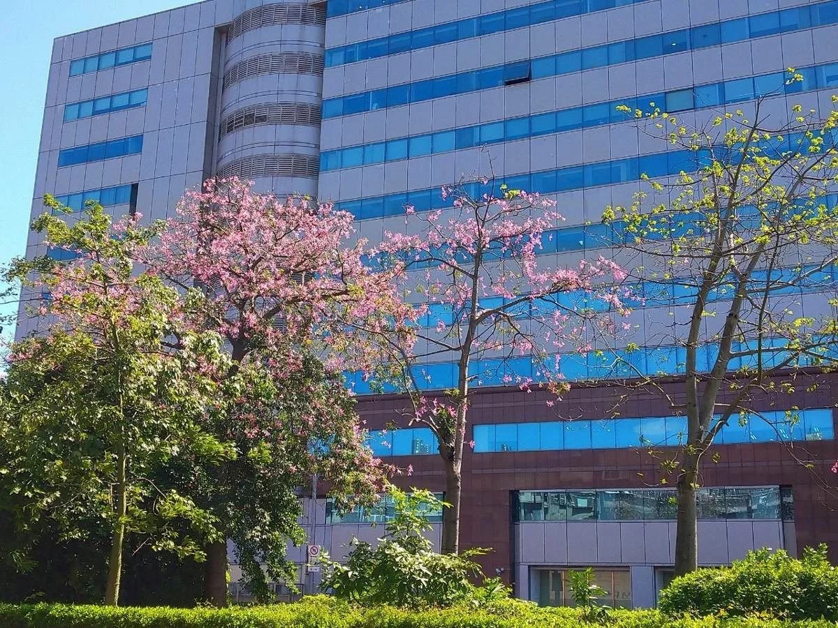 圖片來源:臺北市政府