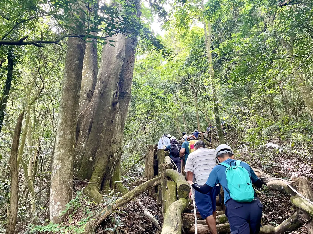 汗水換美景!50名志工揮汗修復大坑「手作文學步道」,網讚:最美風景是人