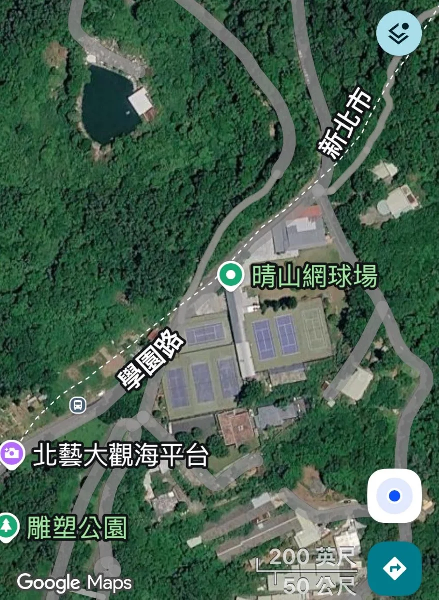 北藝大後門路樹遭砍惹議!北市公園處急澄清:為私人土地樹木