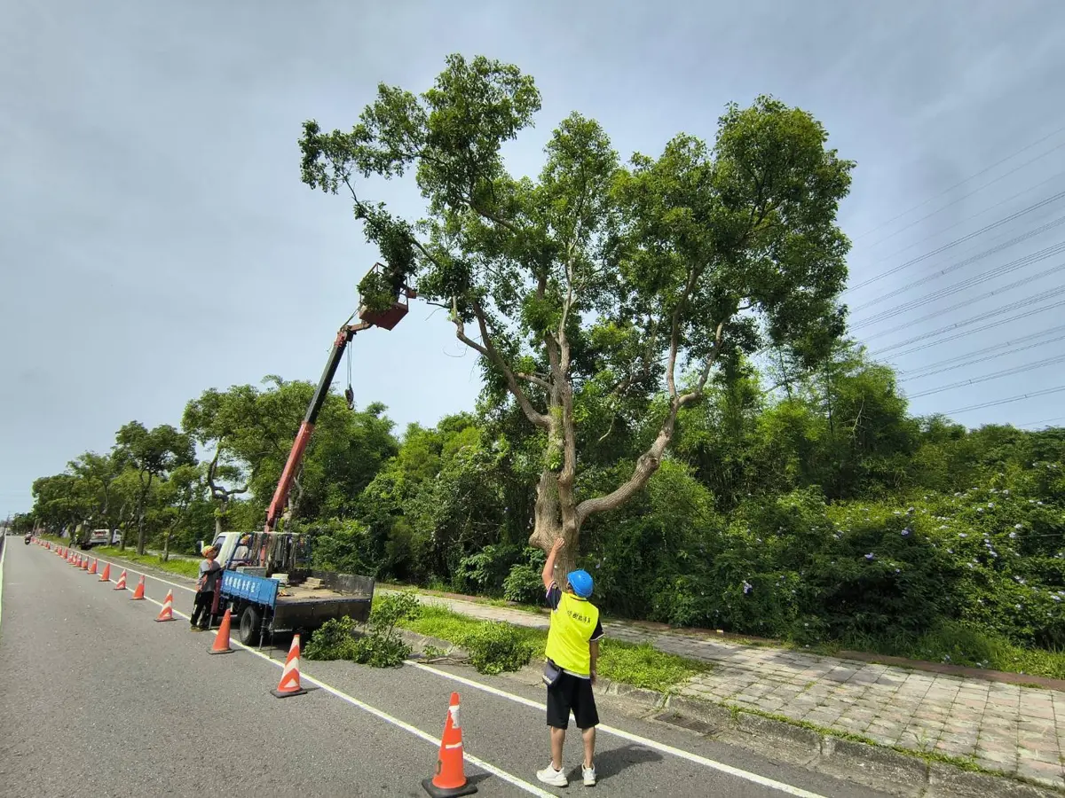 圖片來源:臺中市政府