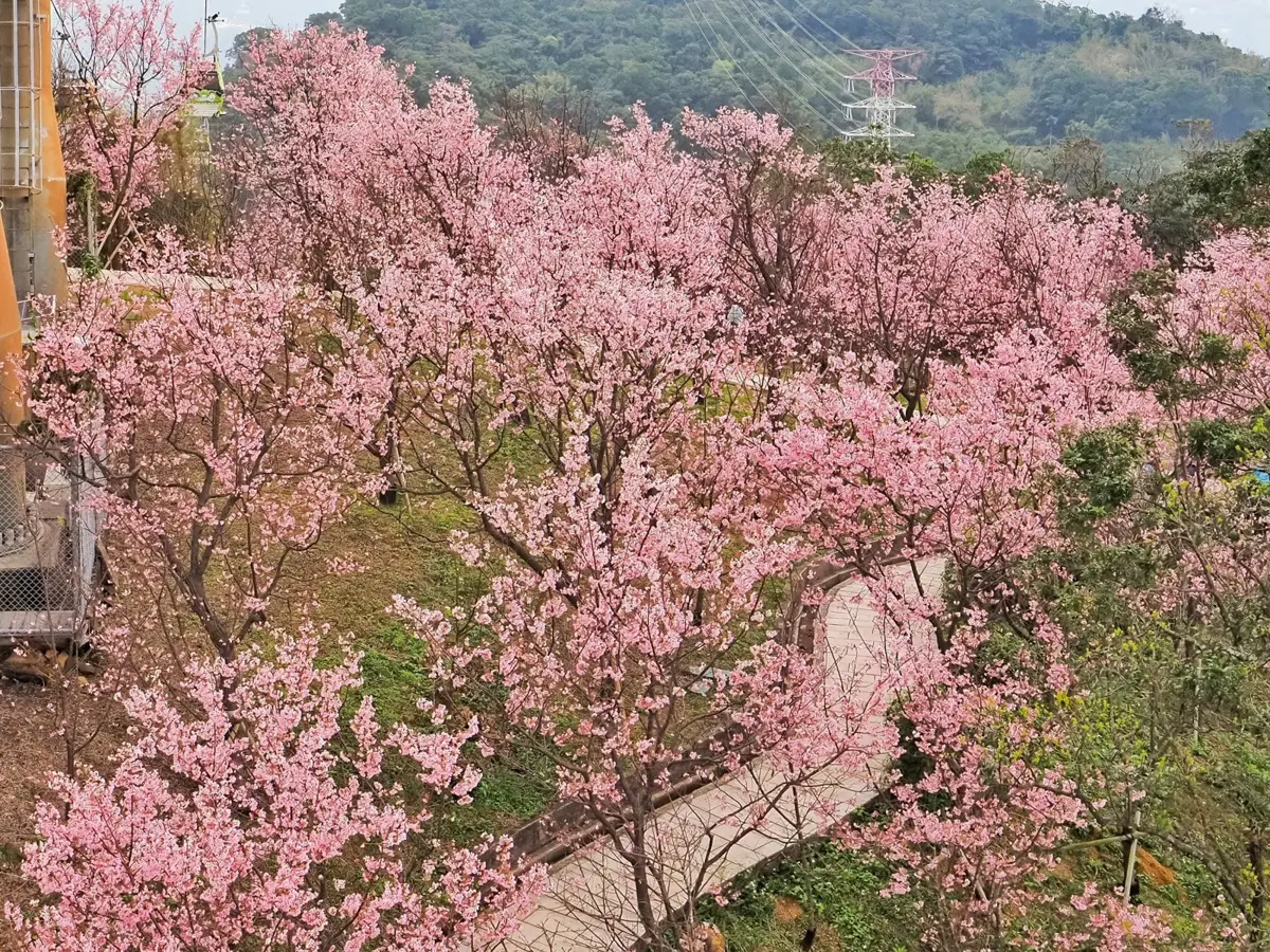 圖片來源：臺北市政府