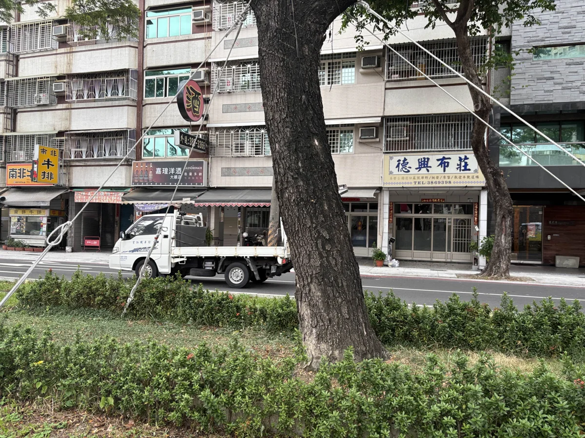 高雄市引進「樹木守護者」!智慧感測器24小時防倒樹 守護用路人安全