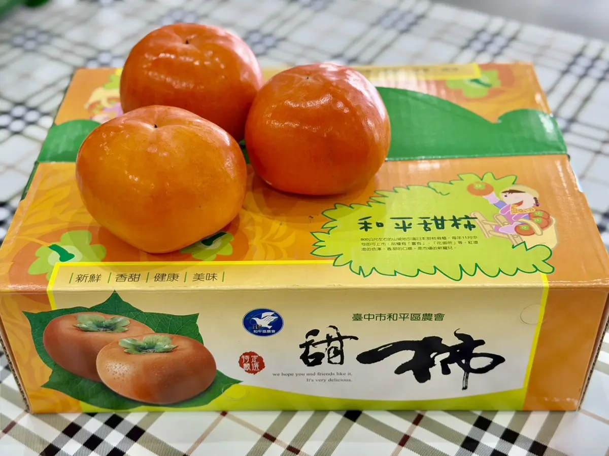 圖片來源:臺中市政府