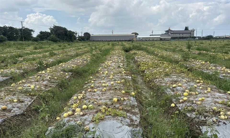圖片來源:彰化縣政府