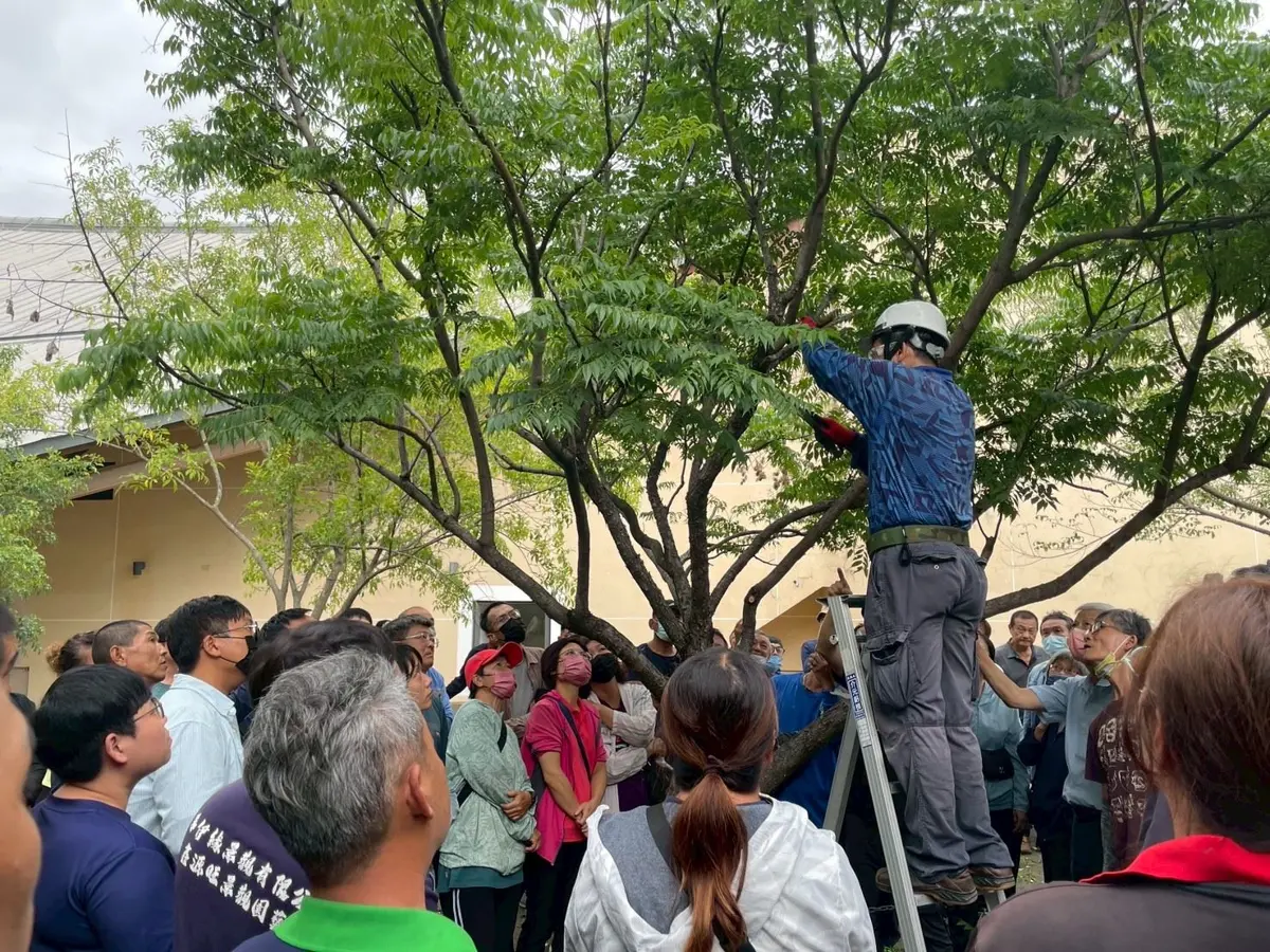 圖片來源:高雄市政府